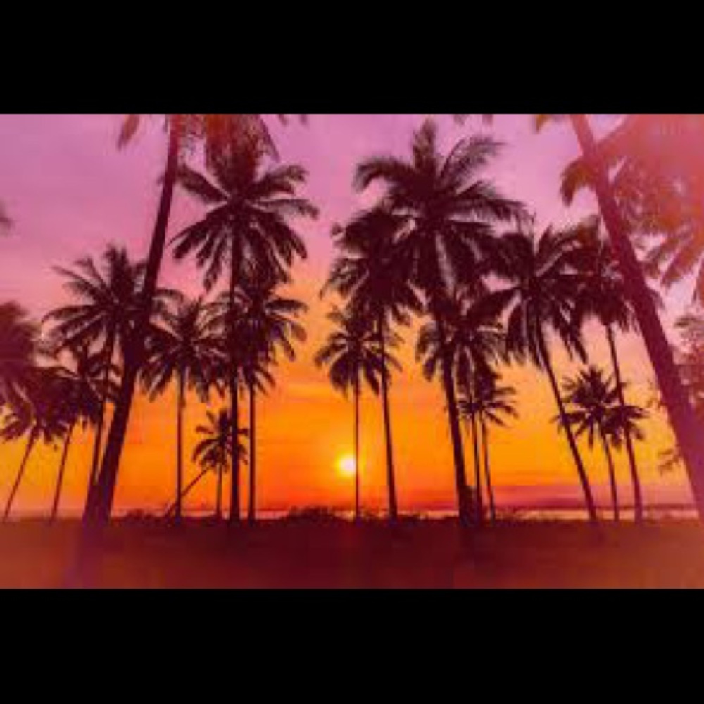 Meet your Posher, Kelbi